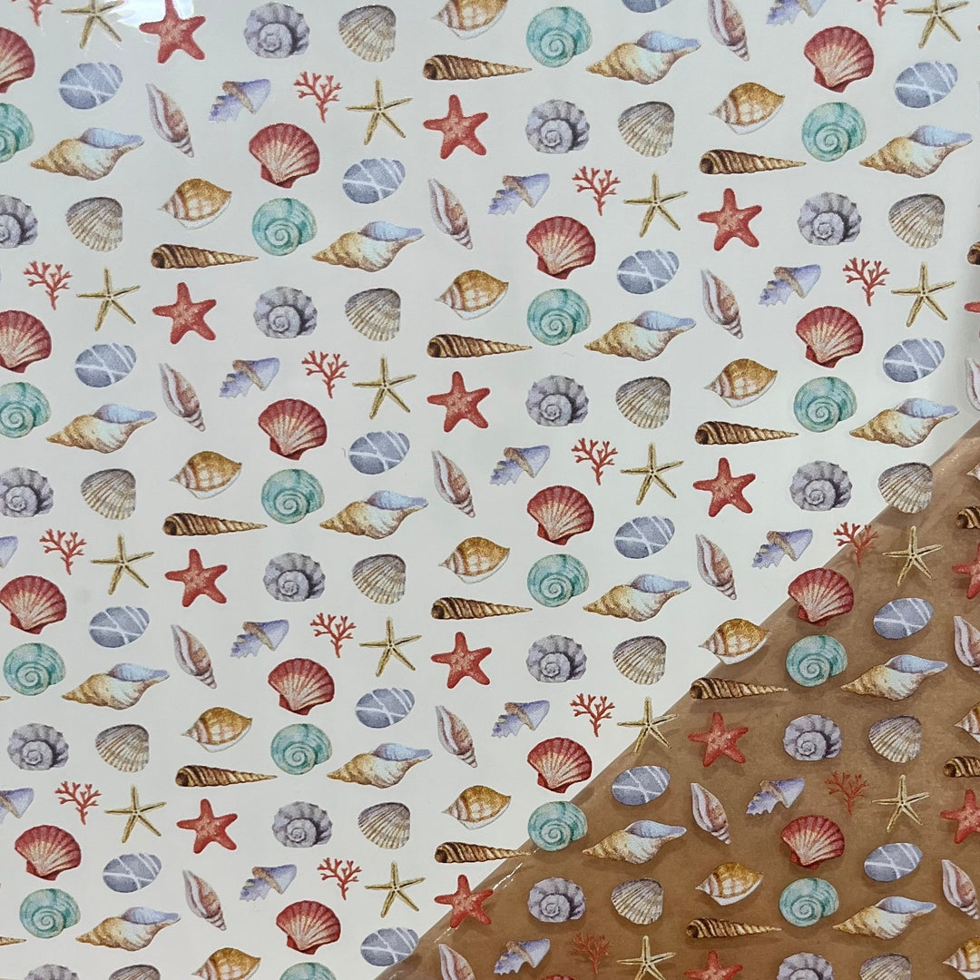 Scattered Seashells - Acrylic